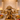 Veer Panchmukhi Hanuman Sacred Brass Guardian Idol